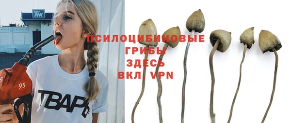тгк Алексин