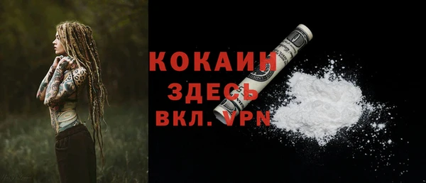 тгк Алексин