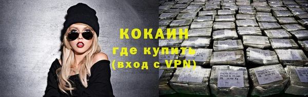 тгк Алексин