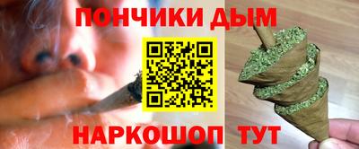 гидропоника Можга