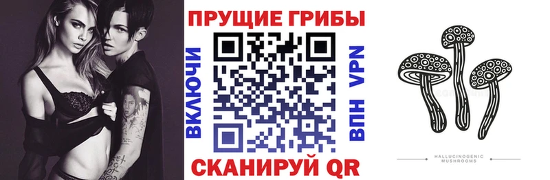 Галлюциногенные грибы Psilocybine cubensis  наркошоп  Тула 