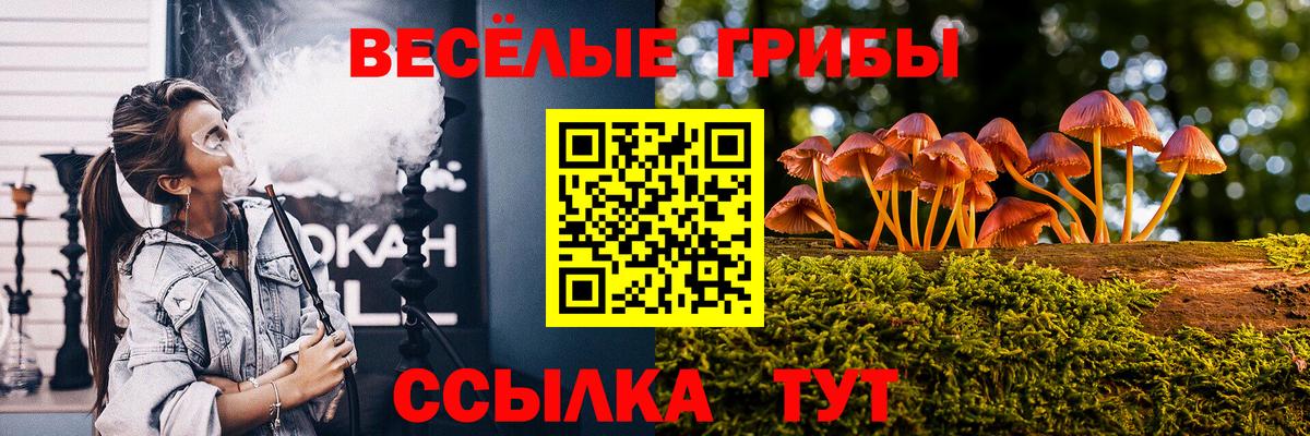 Тула  Псилоцибиновые грибы ЛСД  Вход с VPN 