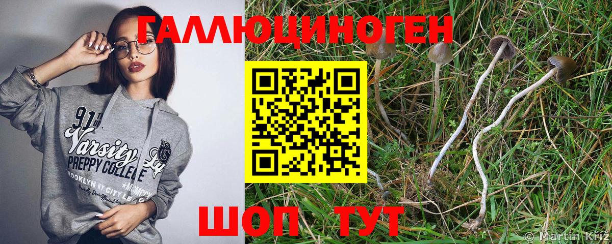 Псилоцибиновые грибы мицелий Тула